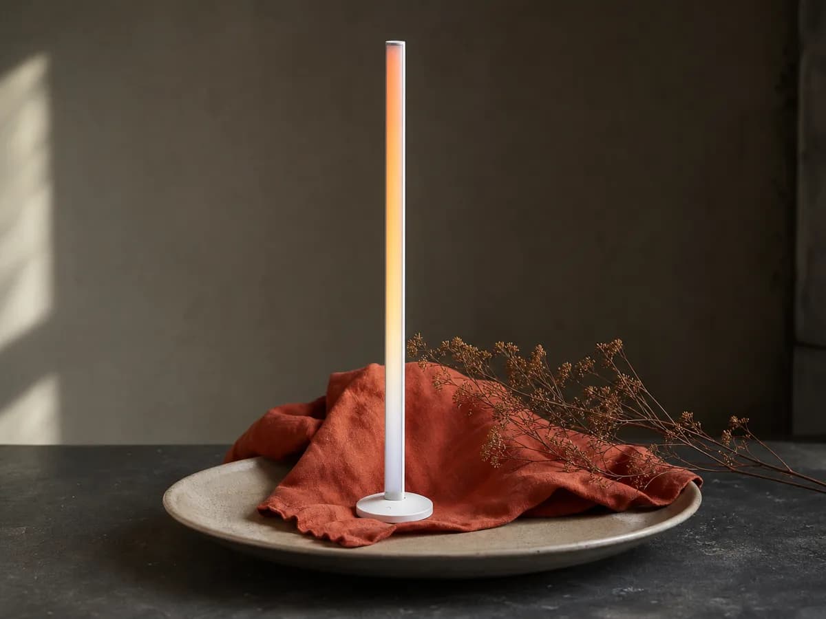 Floor Lamp 3 plated on a matte ceramic dish with a paprika-red linen napkin and a sprig of dried flowers